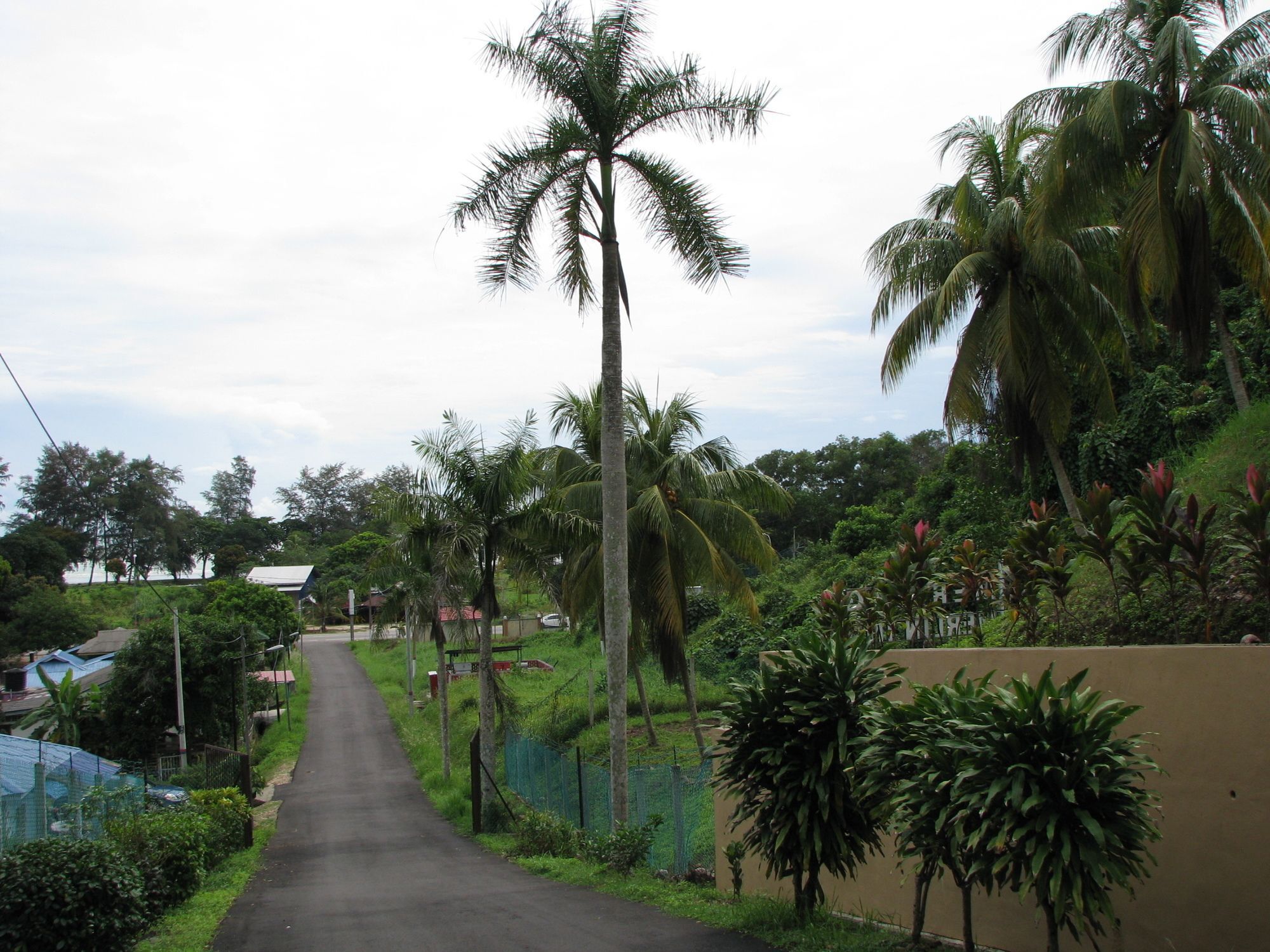 Mersing Merlin Inn Esterno foto
