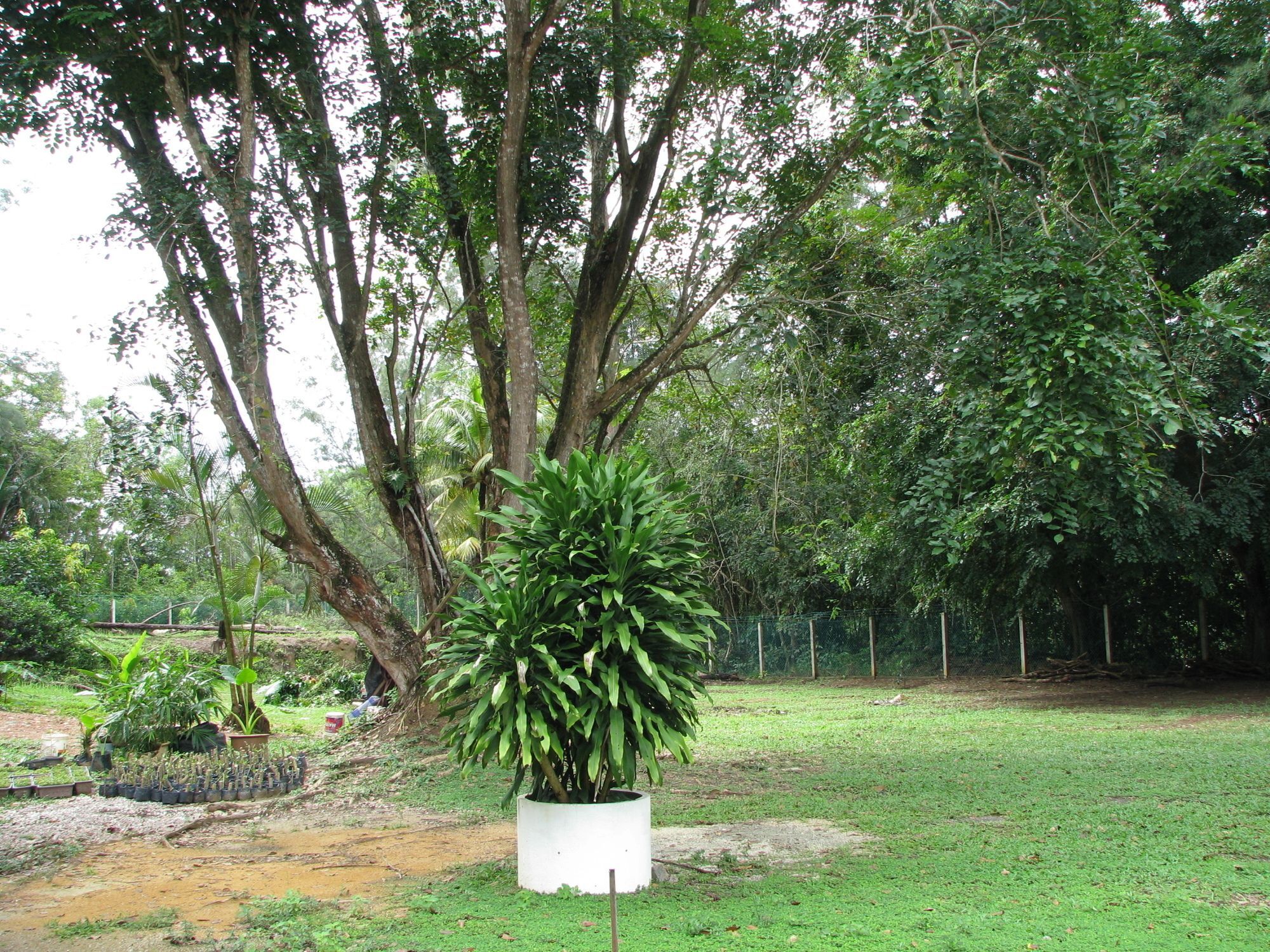 Mersing Merlin Inn Esterno foto
